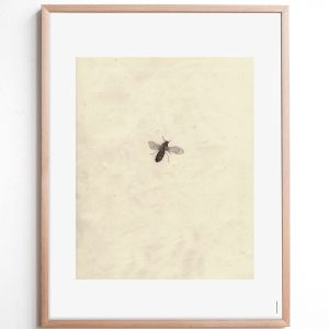 Fine Little Day Fly Plakat 40×50