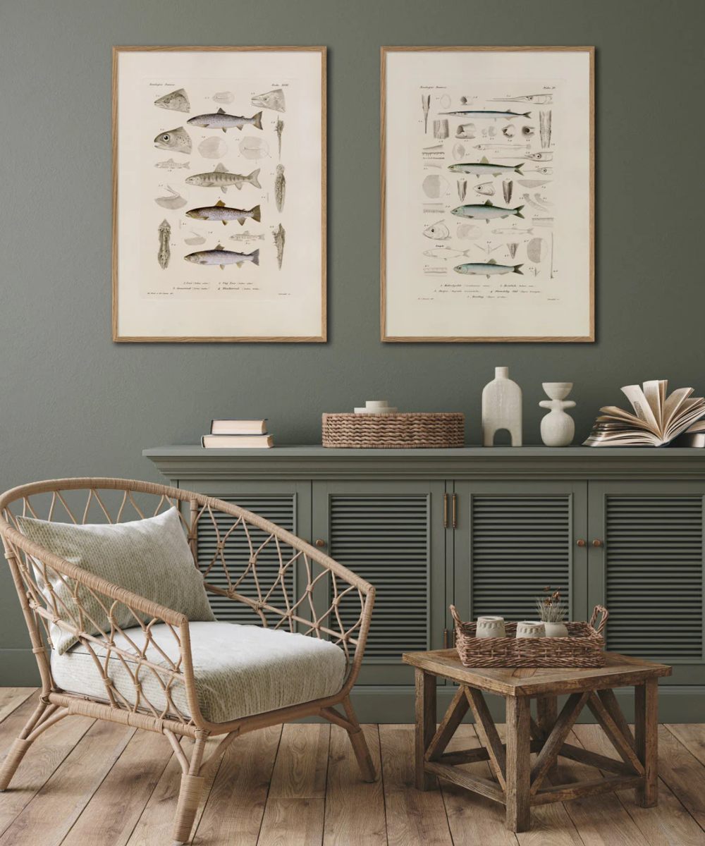 The Dybdahl Co. Fiske XV 7804 Plakat 70×100 - Image 2