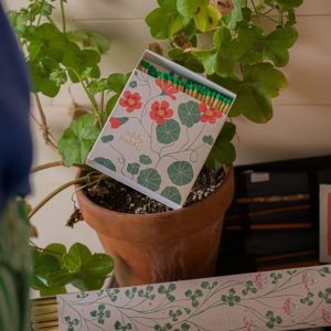 Archivist Fyrstikker Nasturtium
